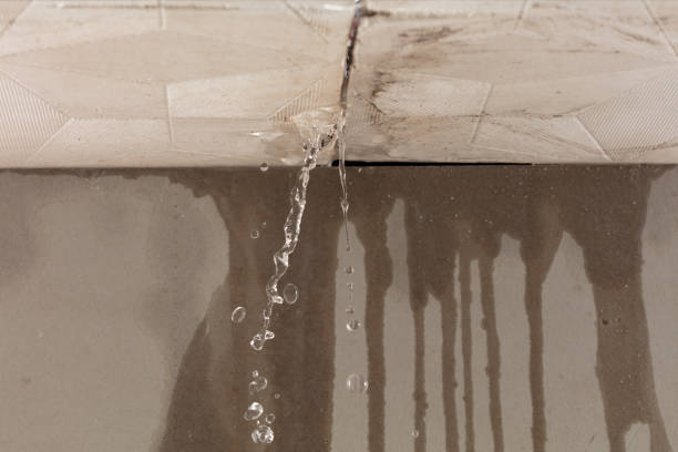 Professional Burst Pipe Cleanup technician working in Rogersville, AL